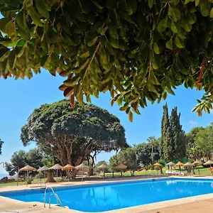  Apartment Lemon Tree