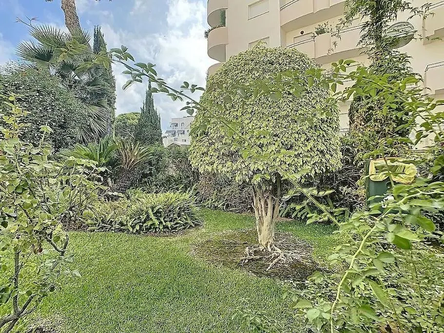 Marina Suite 贝纳尔马德纳